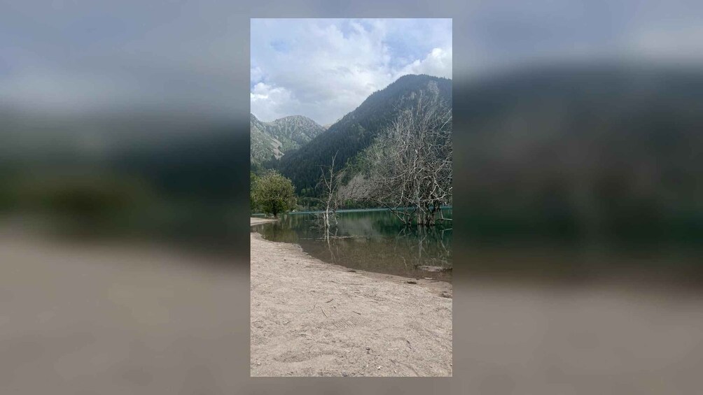 A lake with mountains in the background, a clear sky, and a tree in the foreground. 5