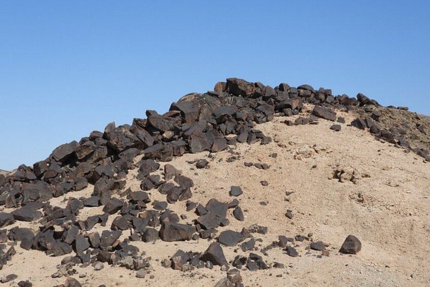 Cruise Liner Wonderful Welwitschia Moonlandscape Tour 5