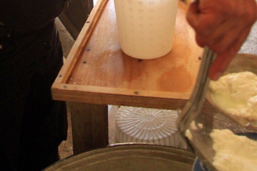 Crete Shepherd Experience with Cheese Making and Food tasting 4