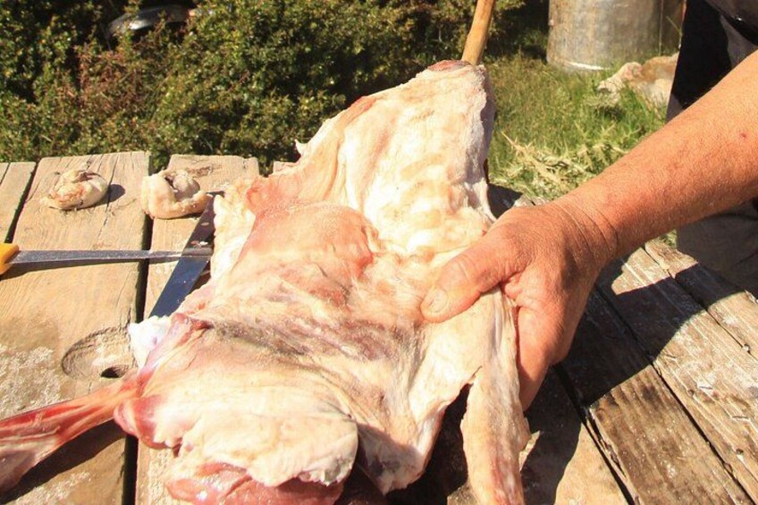 Crete Shepherd Experience with Cheese Making and Food tasting 4