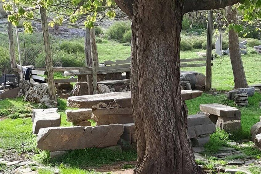 Crete Shepherd Experience with Cheese Making and Food tasting 5