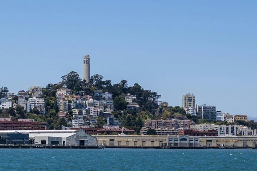 Telegraph Hill and Coit Tower Walk 2