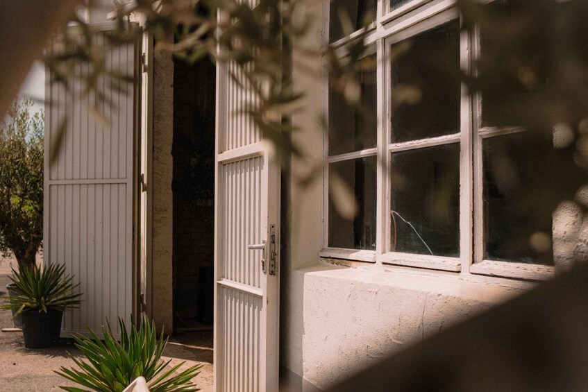 A house with a white door, a window, and potted plants. 2