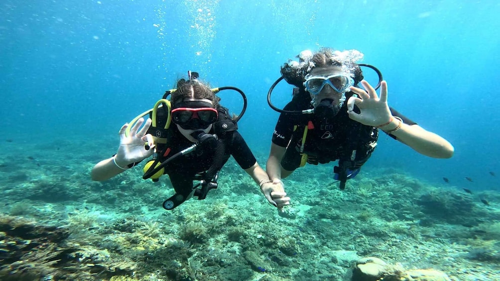 Two scuba divers underwater with coral reefs and fish in the background. 1