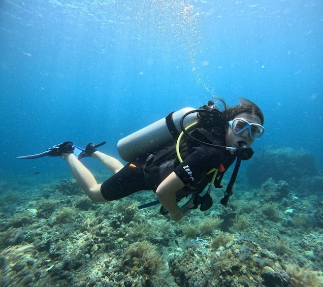 A diver underwater with a scuba tank, fins, and a mask. 3
