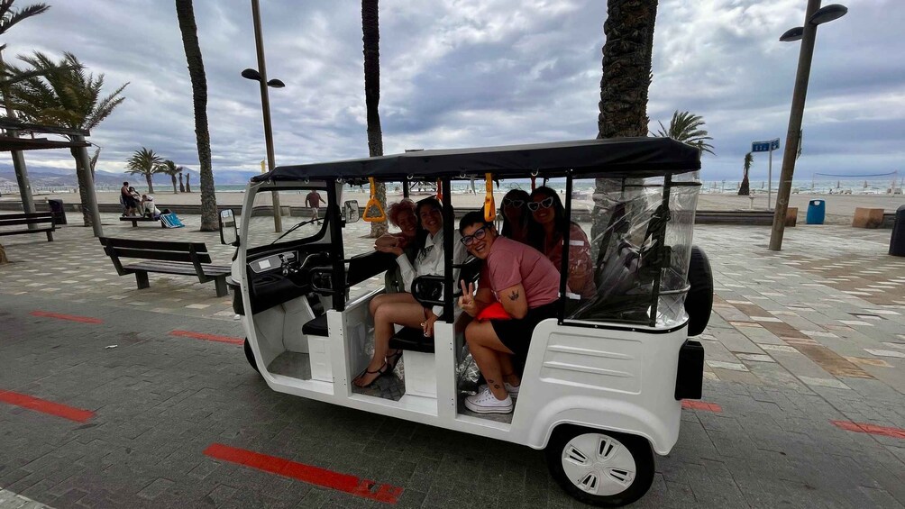 A white trolley with passengers, parked on a paved walkway with palm trees and benches. 3