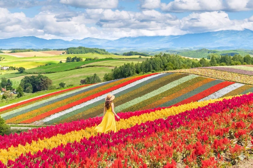 A woman in a yellow dress walking through a field of colorful flowers with mountains in the background. 4