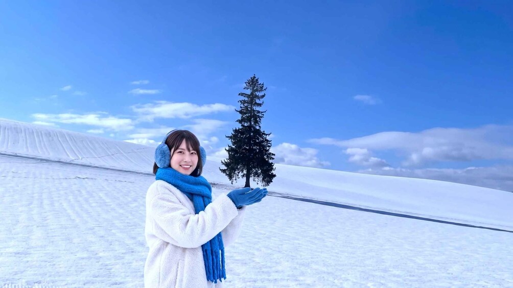 Biei local food, Christmas tree, Furano Photogenic Tour 1