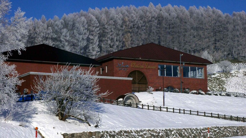 Picture 10 for Activity Biei local food, Christmas tree, Furano Photogenic Tour 2