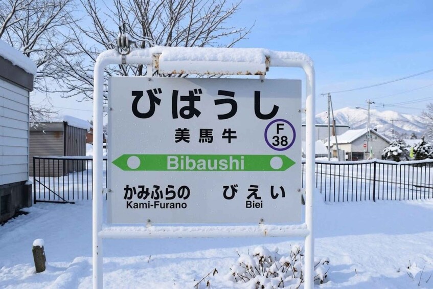 Picture 12 for Activity Biei local food, Christmas tree, Furano Photogenic Tour 3