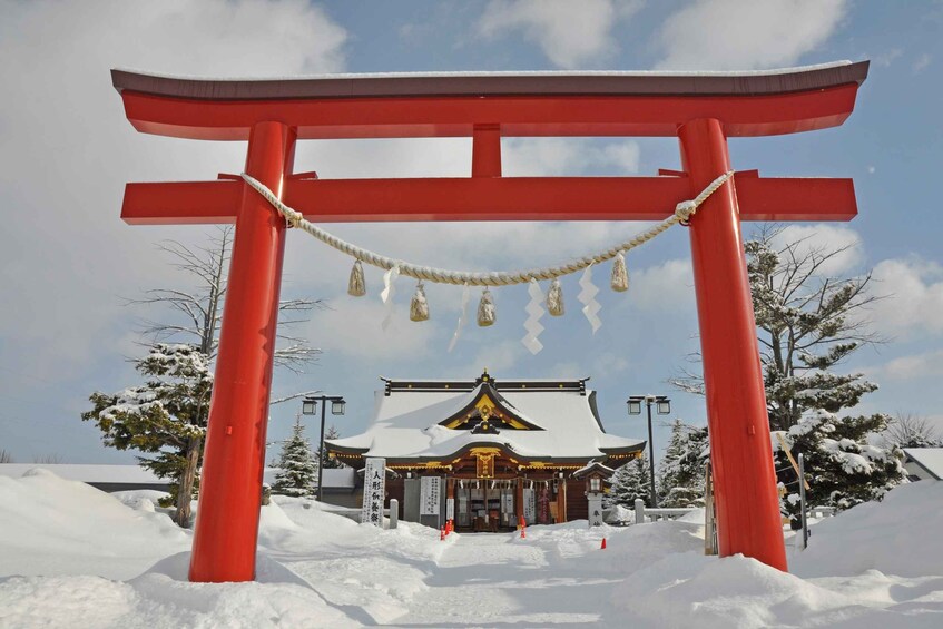 Picture 11 for Activity Biei local food, Christmas tree, Furano Photogenic Tour 4
