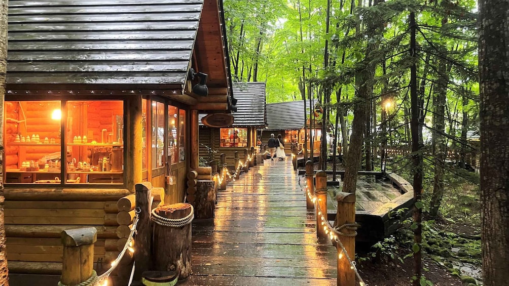 A wooden walkway with cabins, surrounded by trees. 3