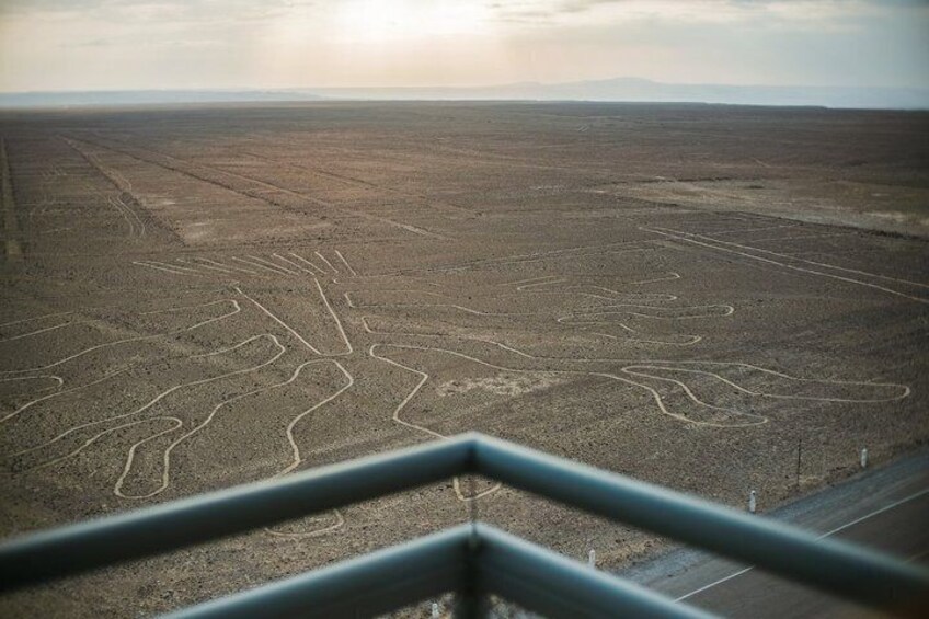 A vast, flat landscape with linear patterns etched into the ground, viewed from a metal railing. 1