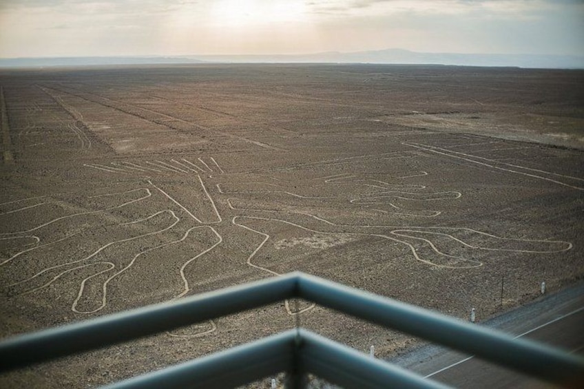 A vast, flat landscape with linear patterns etched into the ground, viewed from a metal railing. 1