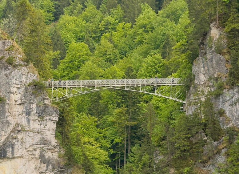 A steel bridge spanning a gorge with dense forest on either side. 5
