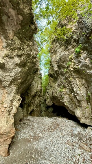 A rocky canyon with a narrow passage and green foliage above. 4