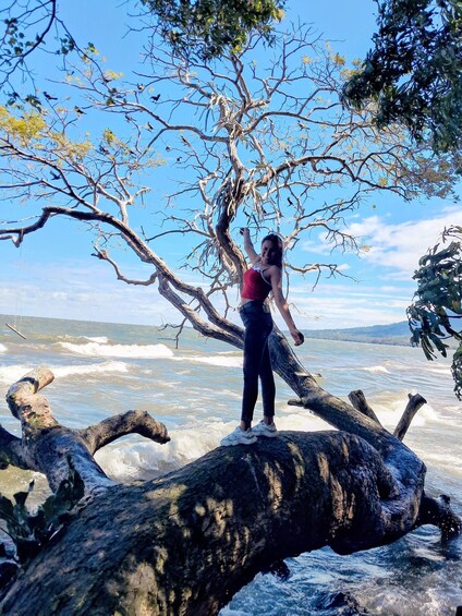 A person standing on a fallen tree by a turbulent sea. 3