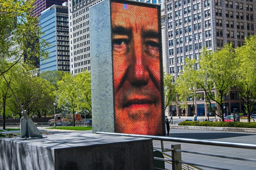 Chicago Millennium Park with In-App Audio Tour 1