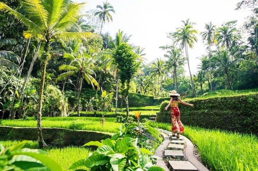 A person walking on a stone path through a lush green landscape with palm trees and terraced fields. 5