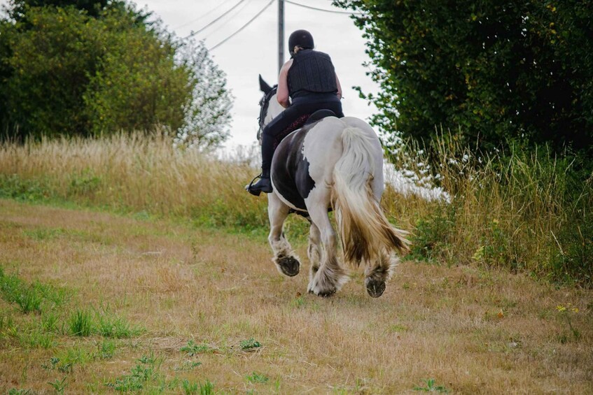 A person riding a horse through a grassy field with trees in the background. 2