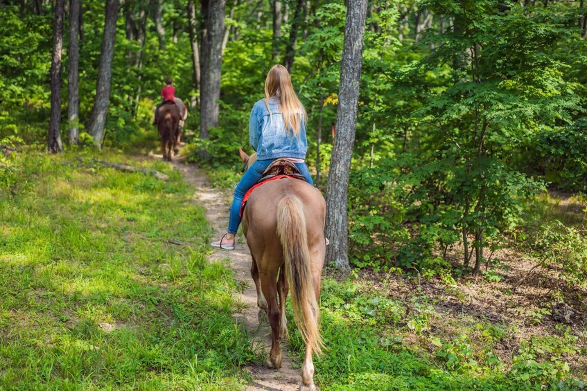 A person riding a horse on a forest trail. 4