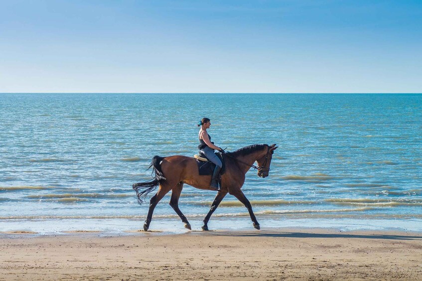 A person riding a horse along a beach with the ocean in the background. 5