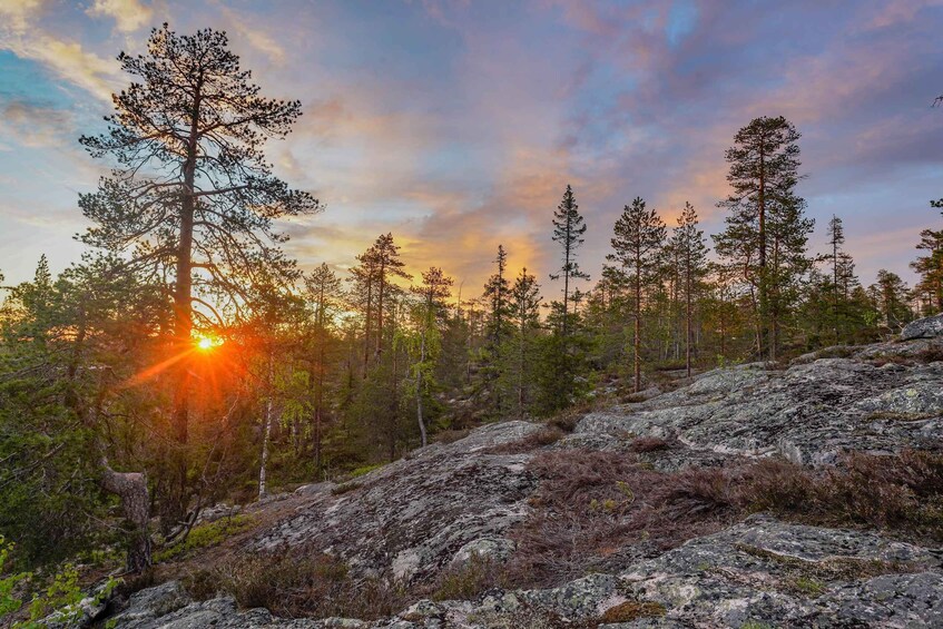 Metsä, jossa on kallioinen alue ja puita, jotka piirtyvät tummina vasten auringonlaskun taivasta. 2