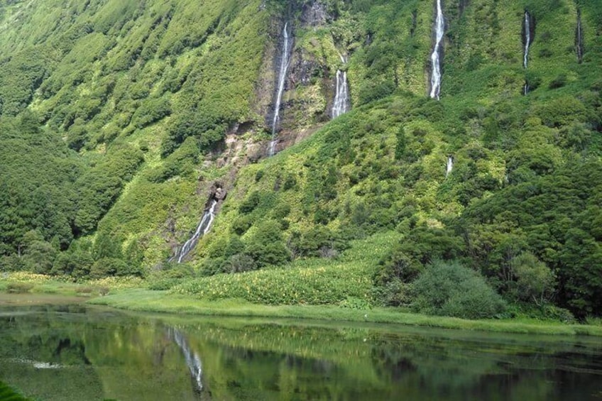 A lush green landscape with multiple waterfalls cascading down a hillside into a calm body of water. 5