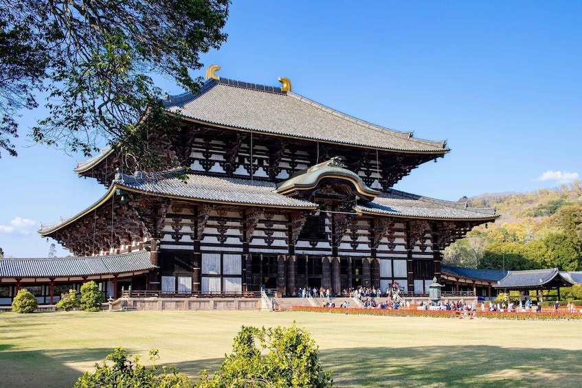 A traditional Japanese building with a tiled roof and wooden structure, surrounded by a well-maintained lawn and trees. 4