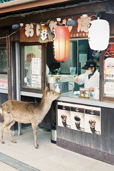 A street food stall with a deer in front, a red lantern, and a person behind the counter. 5