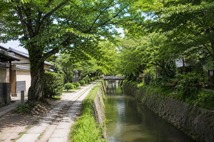 A narrow canal flanked by trees and traditional buildings. 5