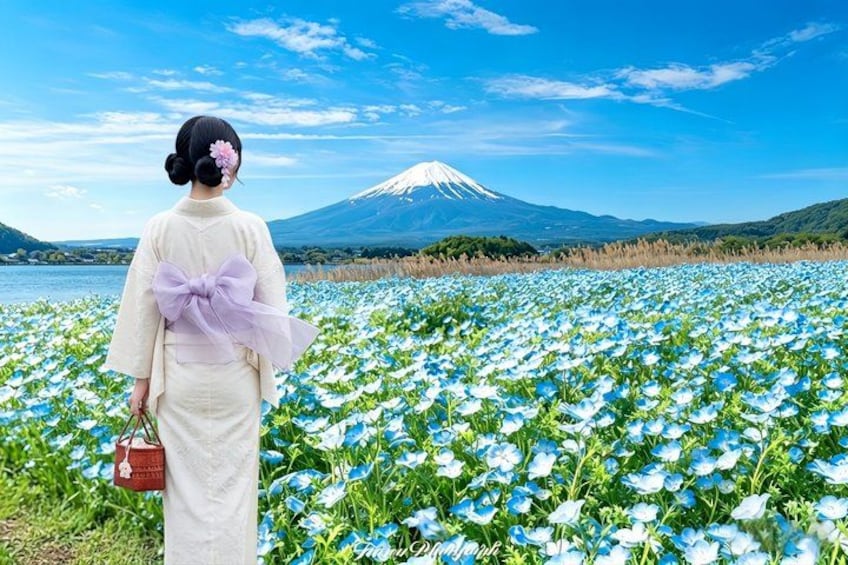 Private Chartered Day Tour to Mount Fuji 2