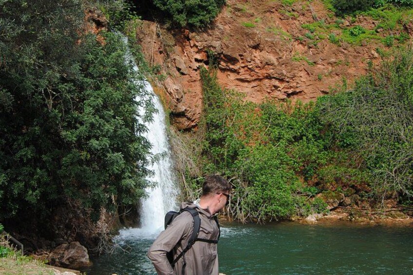 A waterfall, dense greenery, and a rocky cliff. 3