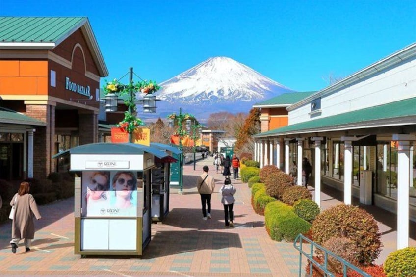 Mt. Fuji and Hakone Private Tour with Luxury Vehicle 3