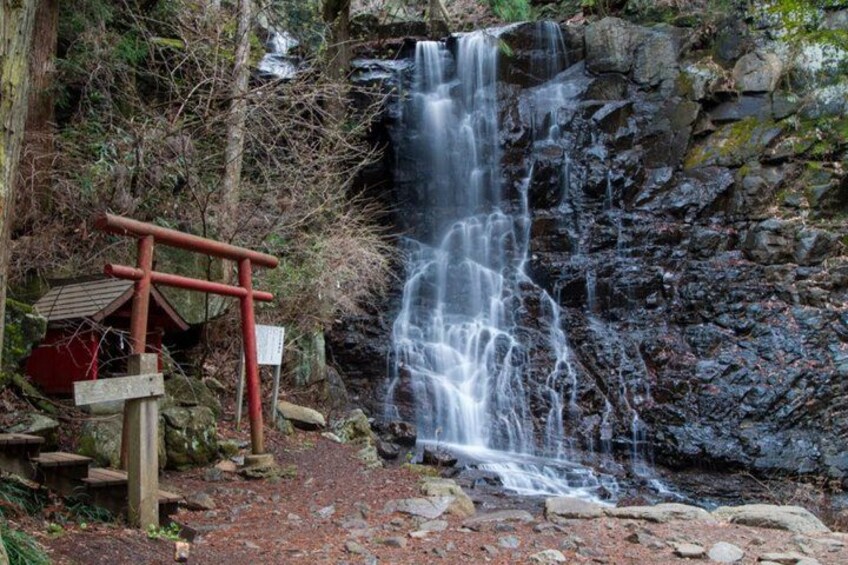 Mt. Fuji and Hakone Private Tour with Luxury Vehicle 2