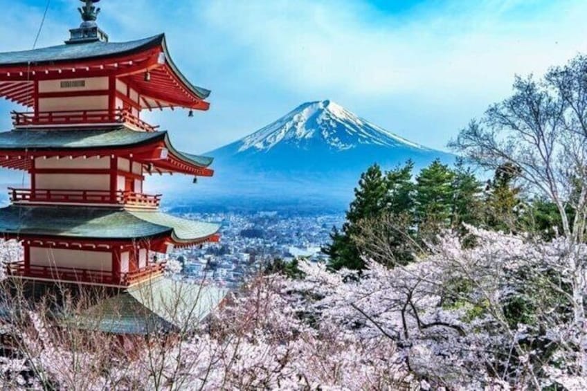 Mount Fuji Private Tour with English Guide in Luxury Vehicle 1