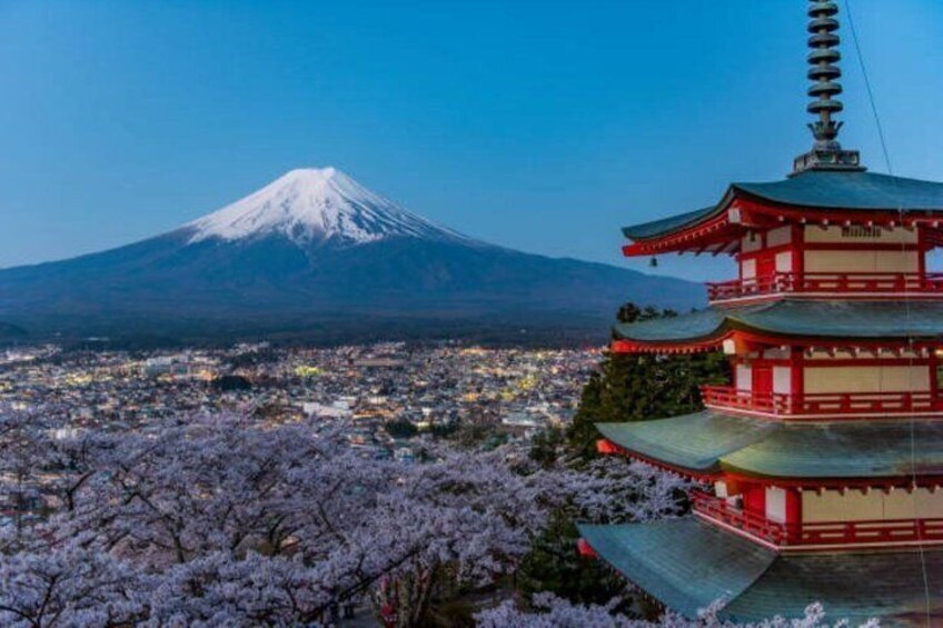 Mt. Fuji and Hakone Private Tour with English Driver Guide 2