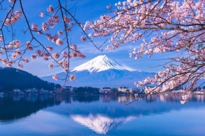 Mount Fuji reflected in a calm lake, surrounded by cherry blossoms. 1