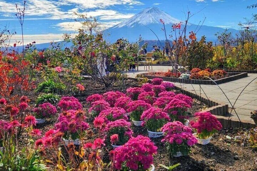 Mt Fuji and Hakone Private Day Tour from Tokyo 1