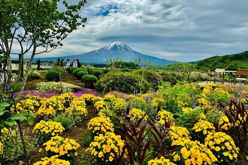 A garden with yellow flowers, a mountain in the background, and a cloudy sky. 4