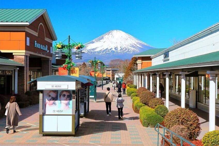 Mt. Fuji and Hakone Private Tour with Luxury Vehicle 2