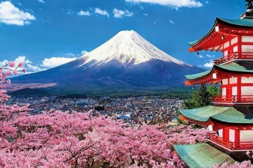 Mount Fuji Private Tour with English Driver 1