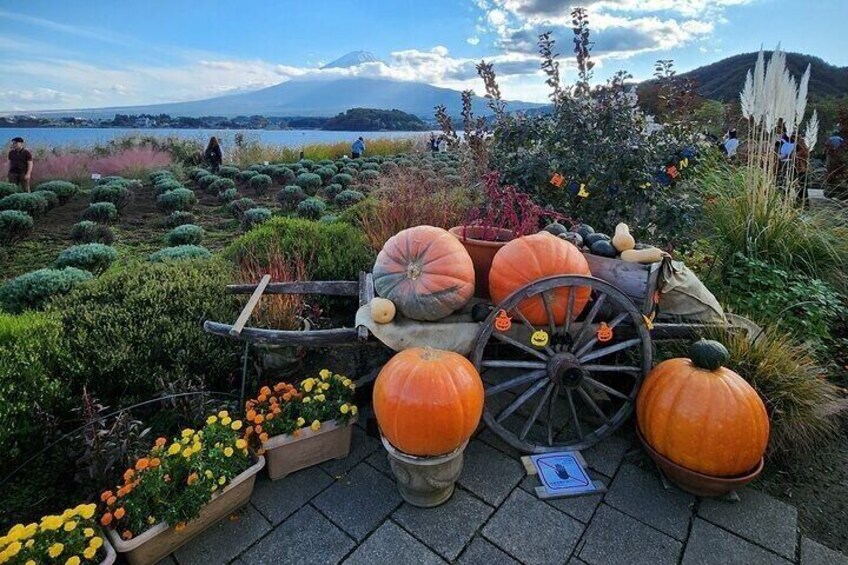 Mt Fuji and Hakone Private Day Tour from Tokyo 5