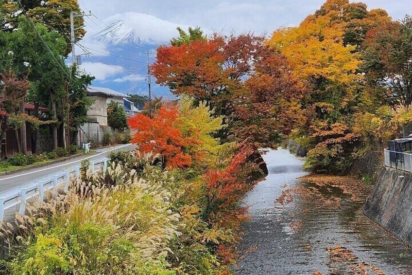 Mt Fuji and Hakone Private Day Tour from Tokyo 3