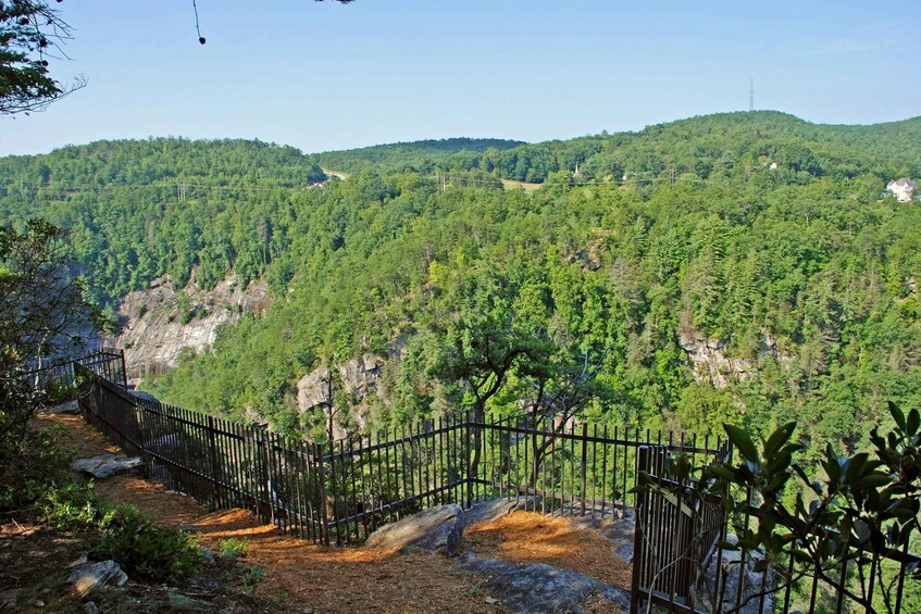 A forested mountain landscape with a metal fence and a dirt path. 5