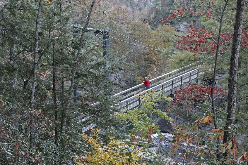 A person walking on a suspension bridge surrounded by autumn foliage. 3