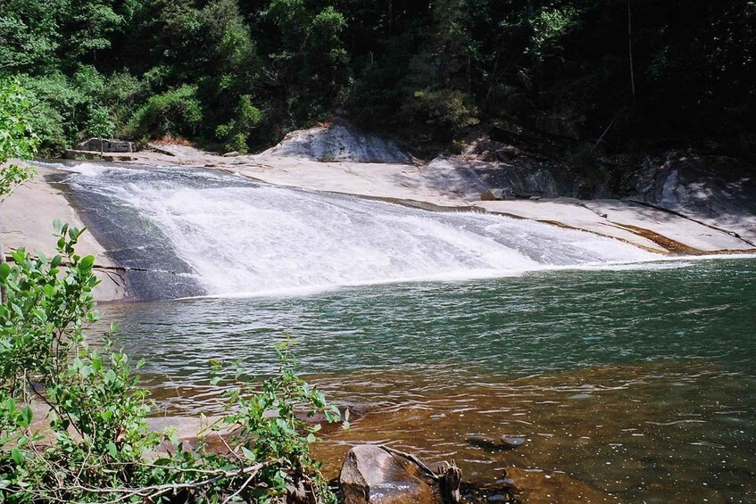 A waterfall cascading into a clear river surrounded by dense forest. 4