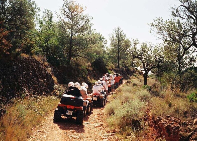 A group of people on ATVs on a dirt trail surrounded by trees. 3