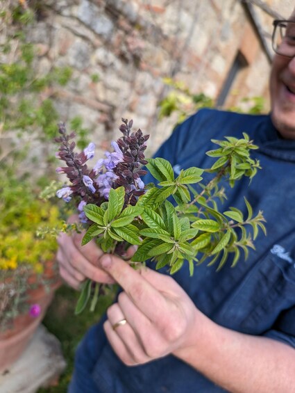 A person holding a plant with purple flowers and green leaves. 3