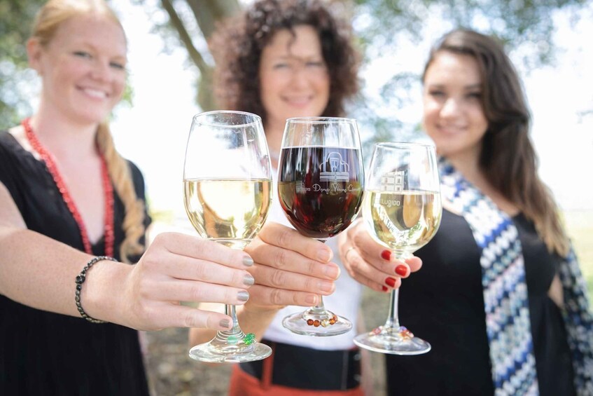 Three people holding wine glasses, one with a red wine and two with white wine, outdoors. 5